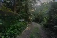 1759 ARBUTUS POINT ROAD - thumbnail 39