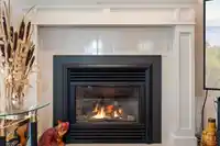 54 3110 TRAFALGAR STREET - thumbnail 9