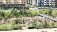 607 8327 201 STREET - thumbnail 20