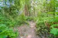 16 PASSAGE ISLAND - thumbnail 21
