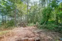 16 PASSAGE ISLAND - thumbnail 4