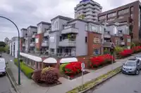 101 2412 ALDER STREET - thumbnail 4