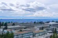 1206 8850 UNIVERSITY CRESCENT - thumbnail 25