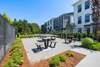 6 2774 MONTROSE AVENUE - thumbnail 37