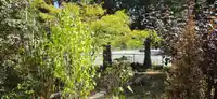 11805 240TH STREET - thumbnail 17