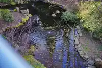 428 5700 ANDREWS ROAD - thumbnail 30