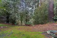 335A EVERGREEN DRIVE - thumbnail 35