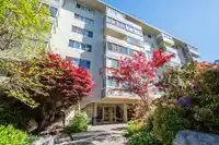 108 1425 ESQUIMALT AVENUE - thumbnail 35