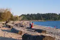 108 1425 ESQUIMALT AVENUE - thumbnail 38
