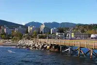 108 1425 ESQUIMALT AVENUE - thumbnail 39