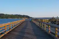 108 1425 ESQUIMALT AVENUE - thumbnail 40