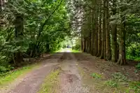 12478 248 STREET - thumbnail 21