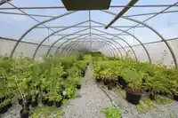 13965 HARRIS ROAD - thumbnail 35