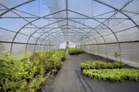 13965 HARRIS ROAD - thumbnail 36
