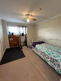 61 20788 87 AVENUE - thumbnail 32