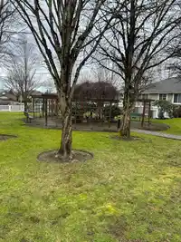 61 20788 87 AVENUE - thumbnail 39