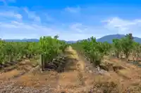 35011 TOWNSHIPLINE ROAD - thumbnail 11