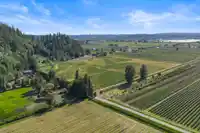 35011 TOWNSHIPLINE ROAD - thumbnail 39