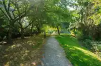 310 27358 32 AVENUE - thumbnail 24