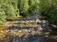 1437 LAMBERT WAY - thumbnail 35