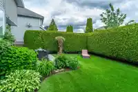 8548 212 STREET - thumbnail 39