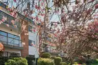 213 1950 W 8TH AVENUE - thumbnail 2