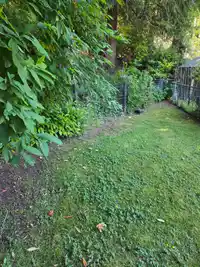 77 19630 PINYON LANE - thumbnail 26