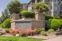 325 21009 56 AVENUE - thumbnail 2