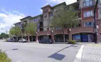 209 11882 226 STREET - thumbnail 1