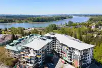 417 11641 227 STREET - thumbnail 22