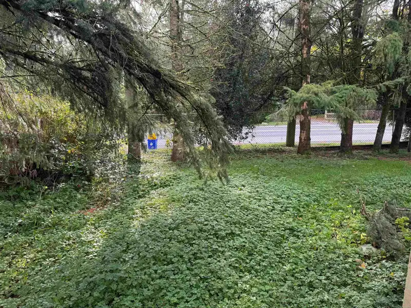 23787 40 AVENUE - photo 3 of 9
