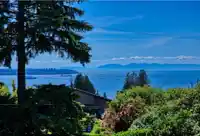 2237 PALMERSTON AVENUE - thumbnail 6