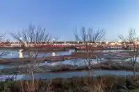 124 250 SALTER STREET - thumbnail 33