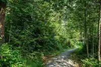 24254 103 AVENUE - thumbnail 36