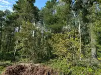 LOT 25 BLUNDELL ROAD - thumbnail 6