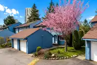 536 LEHMAN PLACE - thumbnail 2