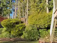 1620 PARKWAY BOULEVARD - thumbnail 24