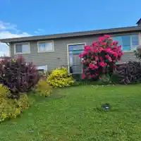 46621 TETON AVENUE - thumbnail 5