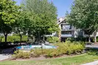 217 22025 48 AVENUE - thumbnail 4