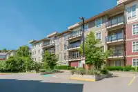 D315 20211 66 AVENUE - thumbnail 4