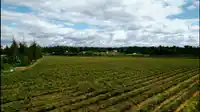 4938 188 STREET - thumbnail 9