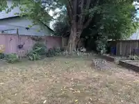 11786 212 STREET - thumbnail 22