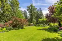 22558 OLD YALE ROAD - thumbnail 13
