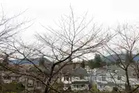 300 1966 COQUITLAM AVENUE - thumbnail 23