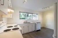 1031 CECILE DRIVE - thumbnail 12