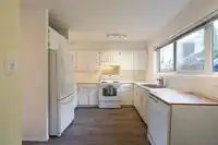 1031 CECILE DRIVE - thumbnail 9