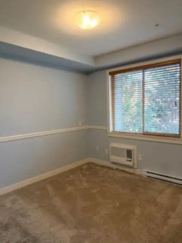 209 11887 BURNETT STREET - photo 4 of 5