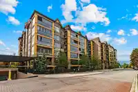 527A 8157 207 STREET - thumbnail 2