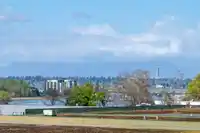 535 7008 RIVER PARKWAY - thumbnail 18