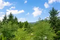 116 RAVINE DRIVE - thumbnail 36